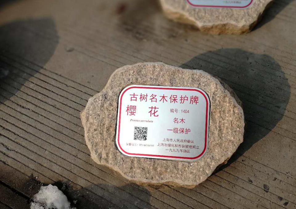 標牌鋁牌制作：樹木銘牌